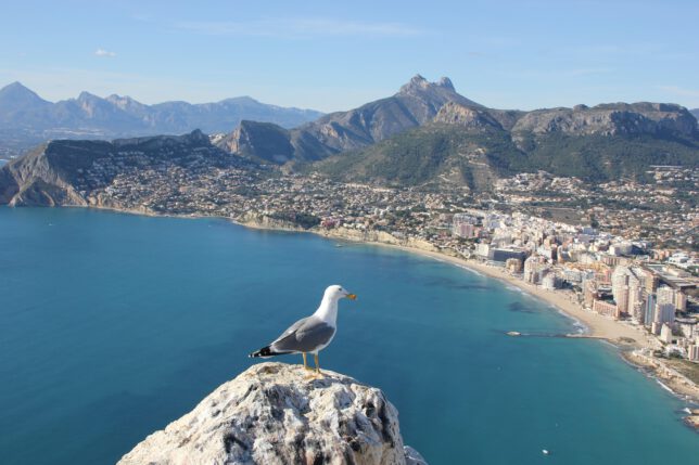 Blick auf Calpe, Tagesausflug ab Alicante während deiner Städtereise